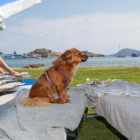Hotel Airone Isola D'elba 4*